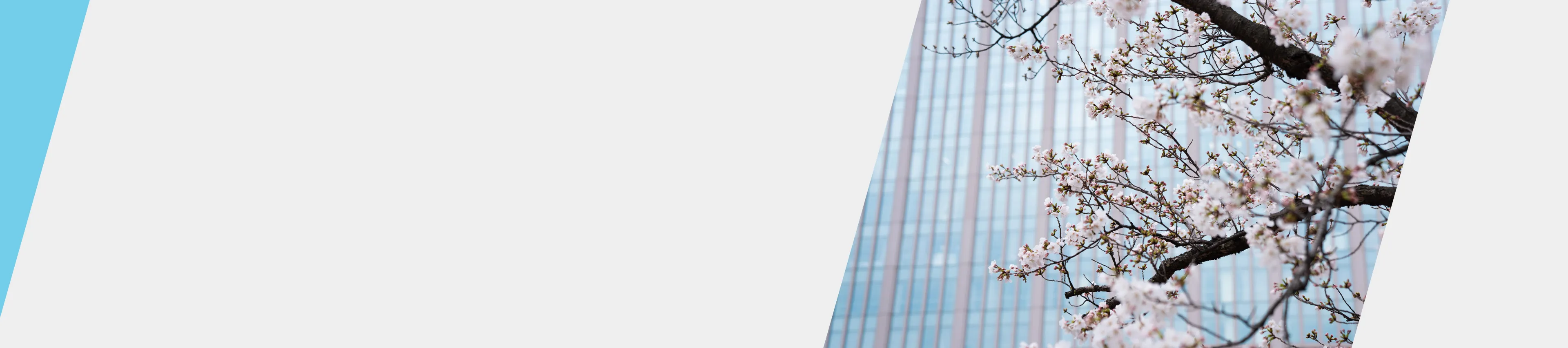 留学生のための入学案内（日本在住の場合）