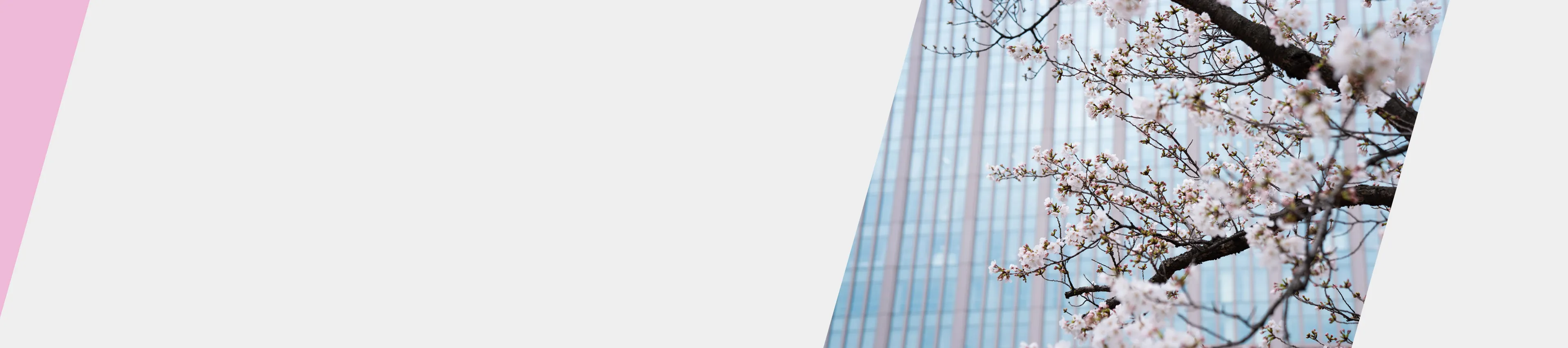 留学生向け入学案内（海外在住の場合）