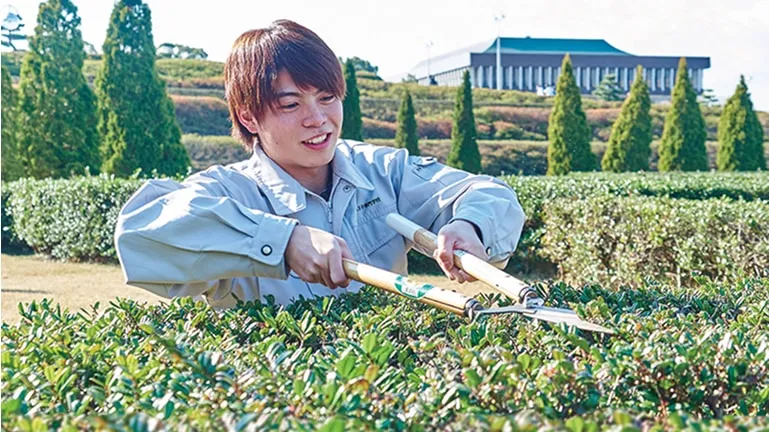 学生が生垣を剪定している様子