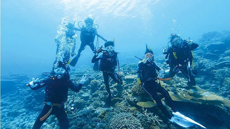 楽し気にダイビングをする生徒たち