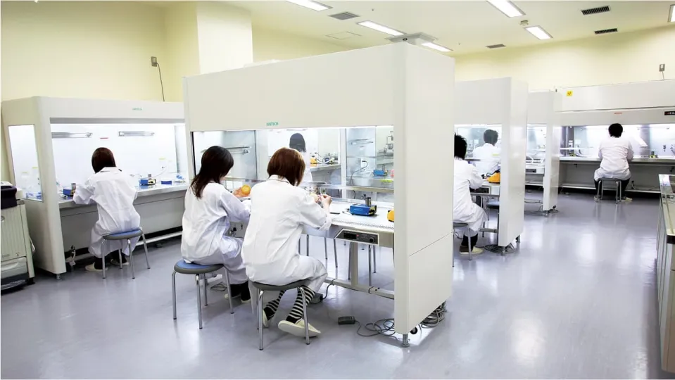 学生たちが実験を行っている様子