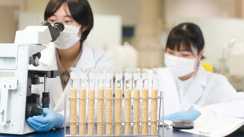 学生たちが実験を行っている様子