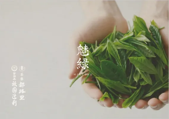 学生作品 - 魅緑MIRYOKU -01