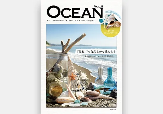 学生作品 - ムック本表紙デザイン 01