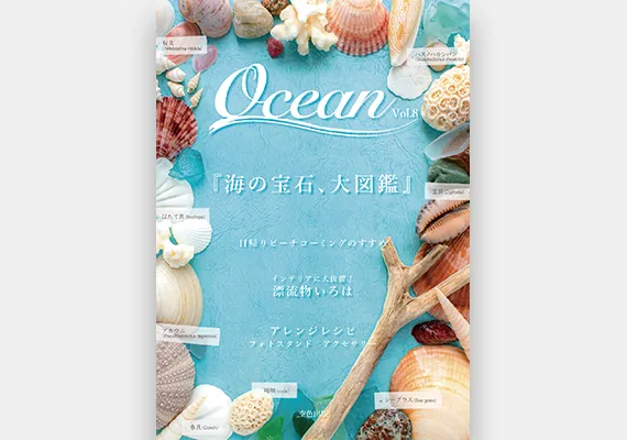 学生作品 - ムック本表紙デザイン 02