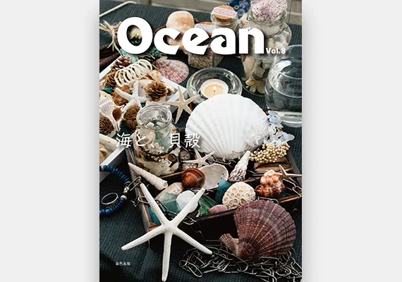 学生作品 - ムック本表紙デザイン 03