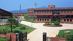 プログラミング中の生徒達