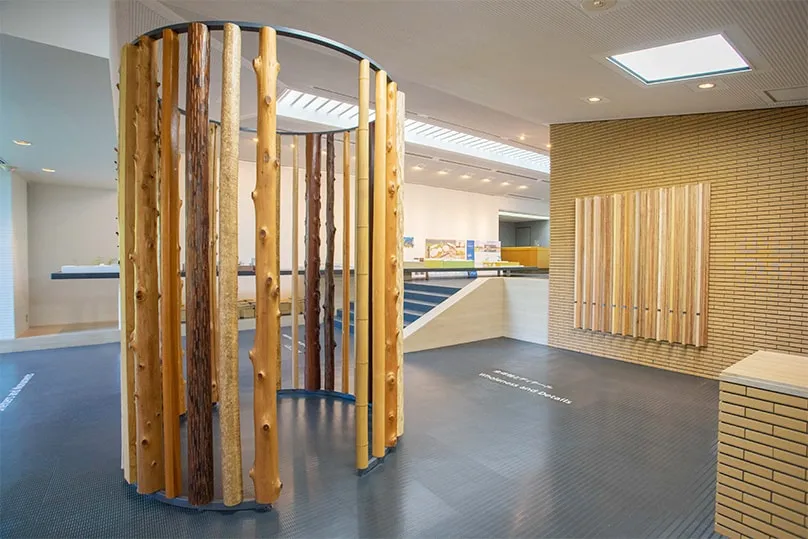 オブジェのような銘木コーナーと壁面のデザイン装飾のような東京十二木