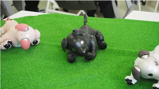 敷物の上に並べられた犬型のロボット