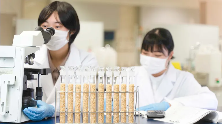 学生たちが食品の実験を行っている様子