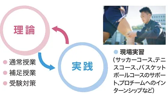 理論（通常授業・補足授業・受験対策）と実践（現場実習）を表した図