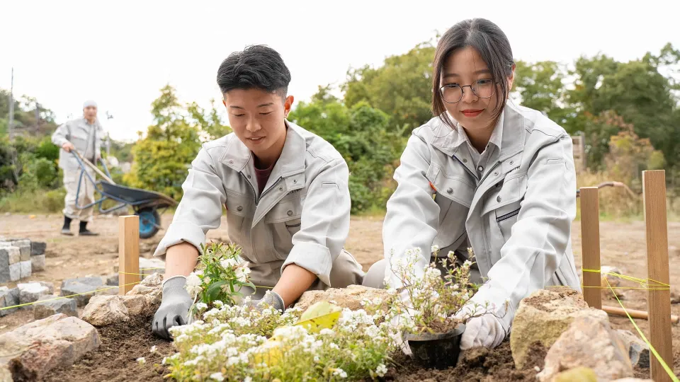 学生が生垣を剪定している様子