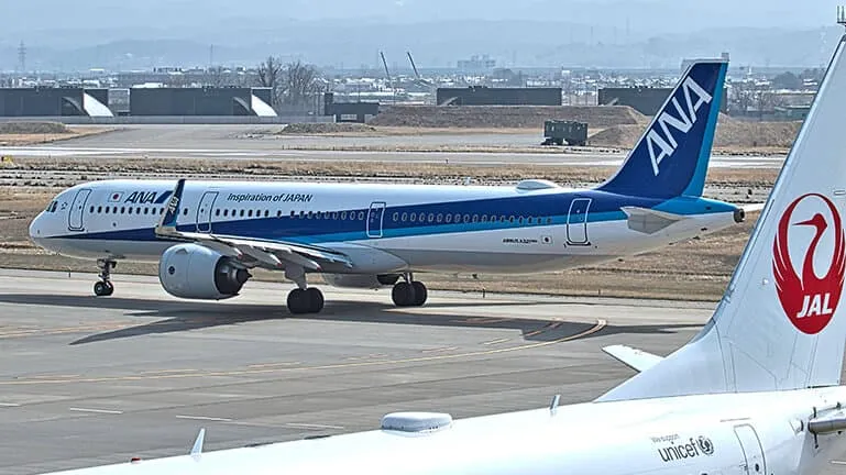 ジャルの尾翼の向こうに見える駐機中のアナの航空機