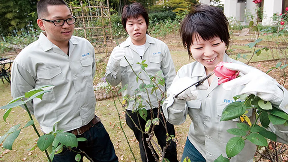 ミニガーデン作り