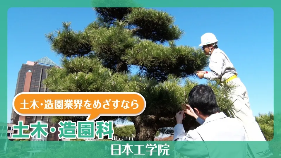 屋外で微笑んだ表情の髙橋 真弓先生