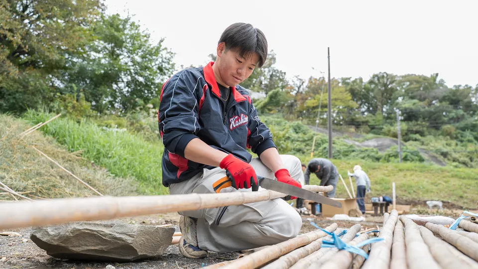造園用に竹をノコギリで切る学生