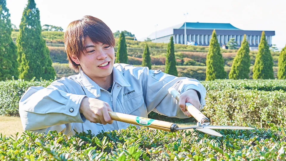 植え込みを長バサミできれいに整えている学生
