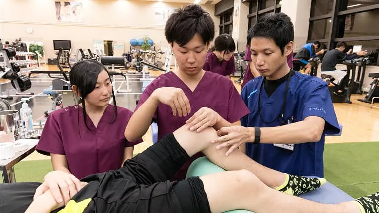 学生たちが鍼灸について学んでいる様子