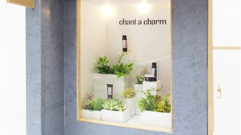 装飾と組み合わせて魅力的に見せた商品ディスプレイ