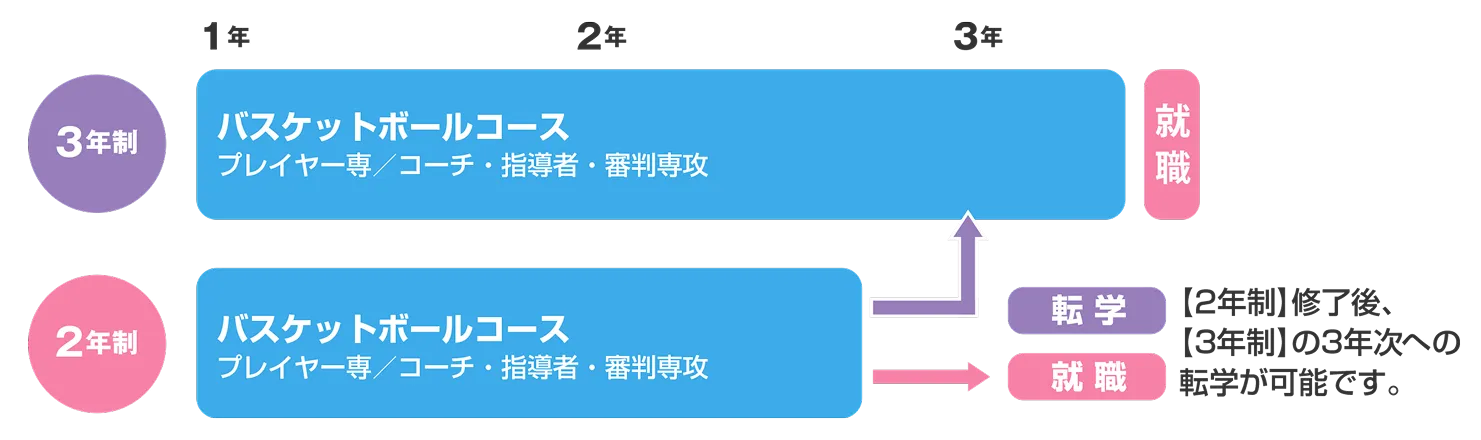 2年制修了後、3年制の3年次への転学が可能です。
