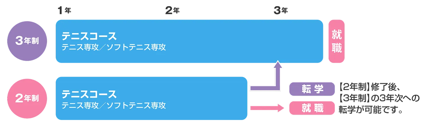 3年制と2年制の入学から卒業後までのルートを表したフローチャート