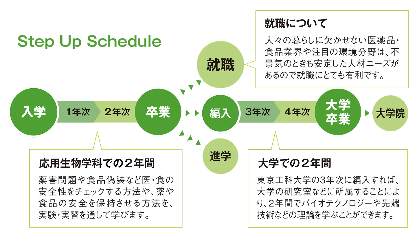 入学してから卒業後までのステップアップスケジュールをまとめた図