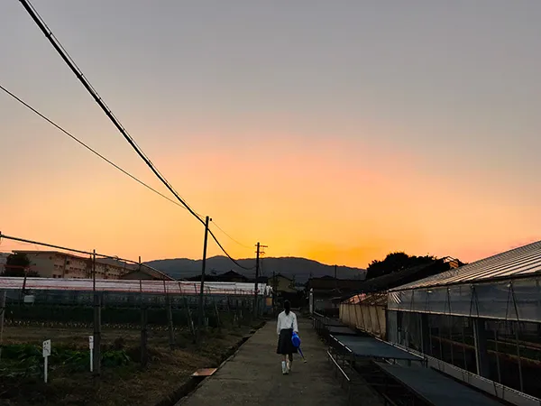 「手には畑の機関銃」