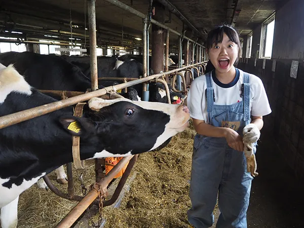 「うわああ！！」