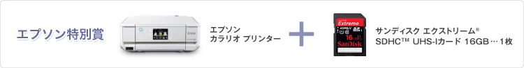 エプソン特別賞 賞品