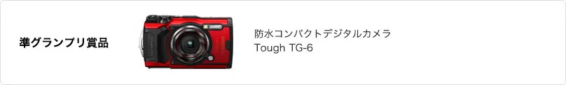 準グランプリ 賞品