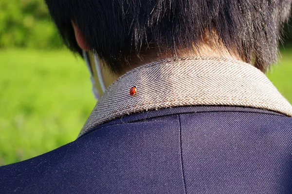 「小さな幸せ」