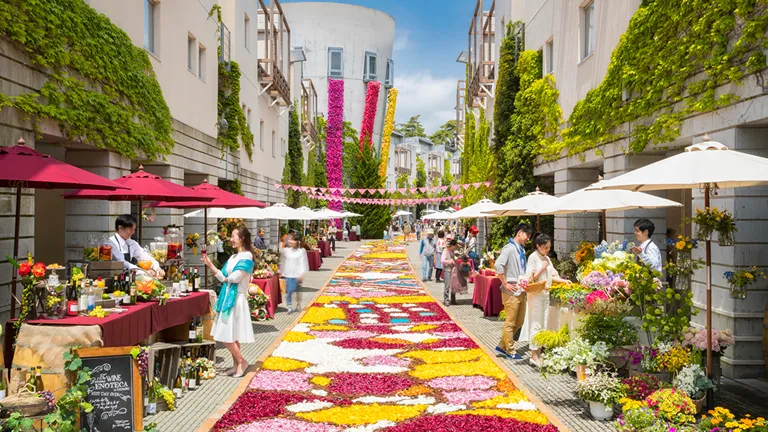 インターンシップ先のイメージ2