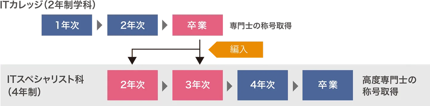 ITカレッジの2年制学科は卒業後にITスペシャリスト科（4年制）編入可能になることを表した図