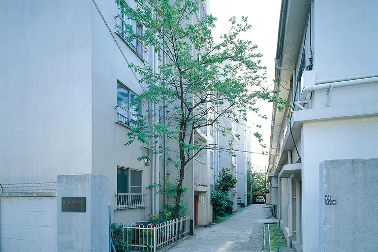 緑の配置され閑静な雰囲気の門から玄関口までの小道