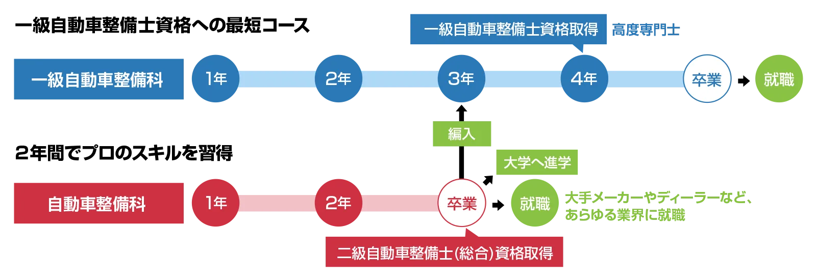 4年制と2年制の違いを表したフローチャート