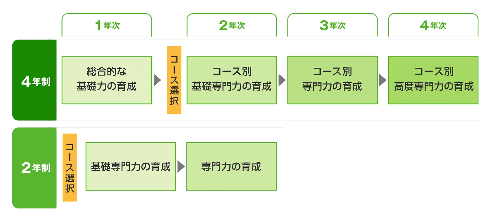 4年制と2年制の教育プログラムを示した図