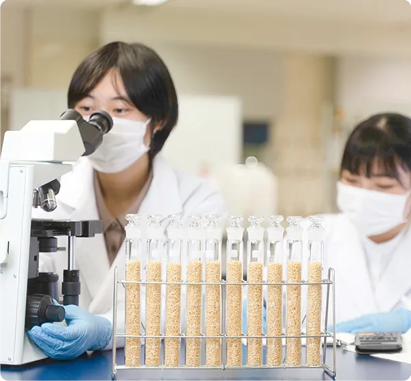 ２名の学生が顕微鏡で実験を行っている様子