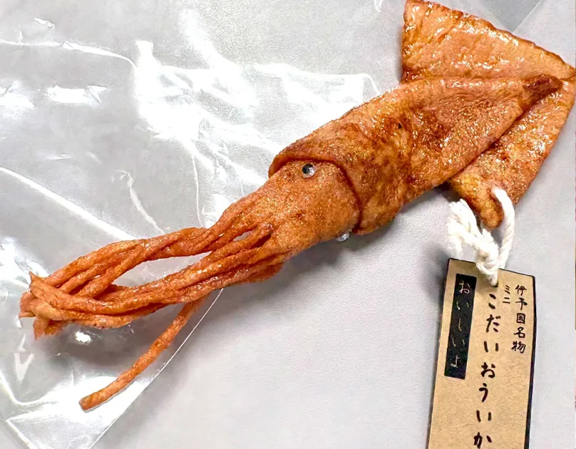 イカのサンプル