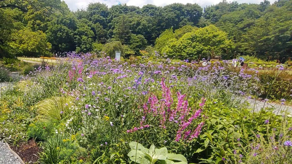 学生が手がけた作品