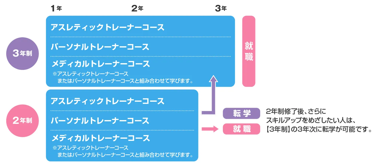 入学から卒業後までの3年制と2年制の違いを説明した図