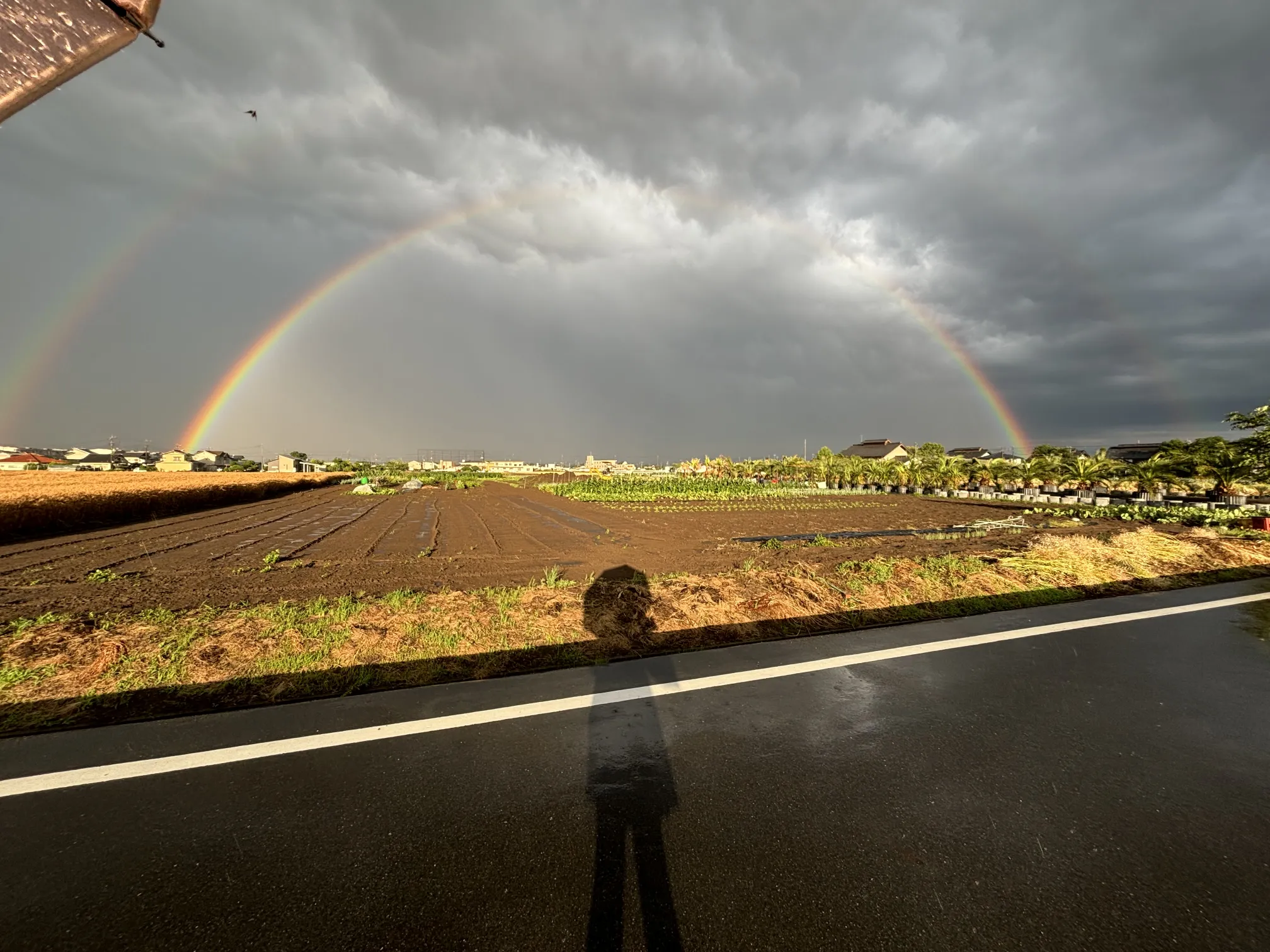 「かえるの鳴き声と」