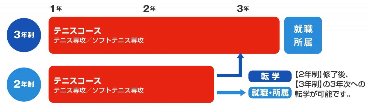 3年制と2年制の入学から卒業後までのルートを表したフローチャート