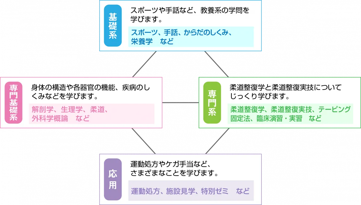 柔道整復科のカリキュラムである基礎系・専門基礎系・専門系・応用を説明した図