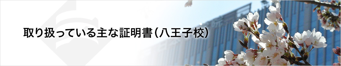 取り扱っている主な証明書