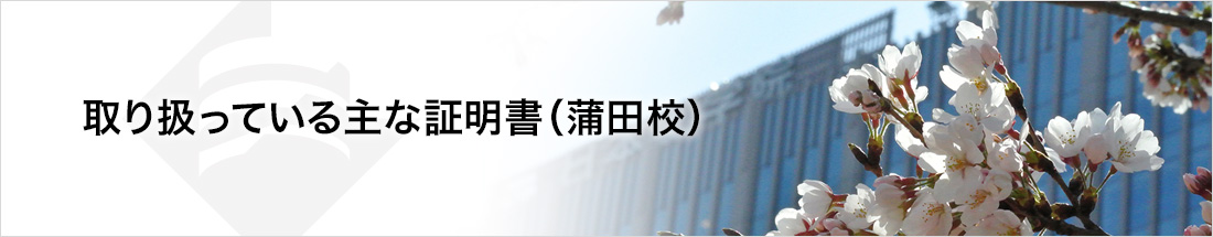 取り扱っている主な証明書