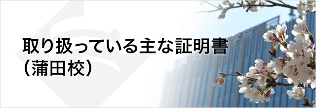 取り扱っている主な証明書