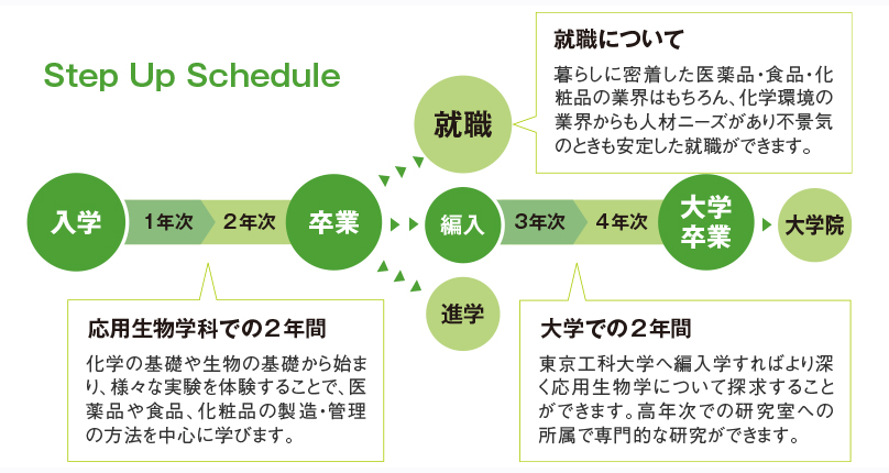 2年間のスケジュール