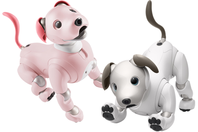 aibo2