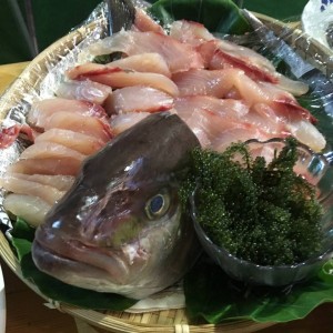 奄美2017⑯
