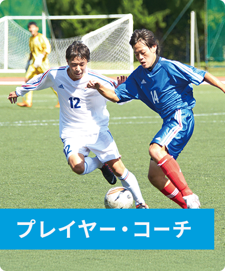 プレイヤー・コーチ